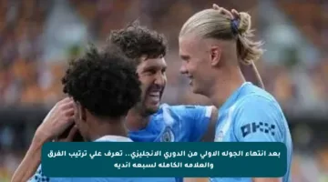 بعد انتهاء الجولة الأولى من الدوري الإنجليزي.. تعرف على ترتيب الفرق والعلامة الكاملة لسبعة أندية